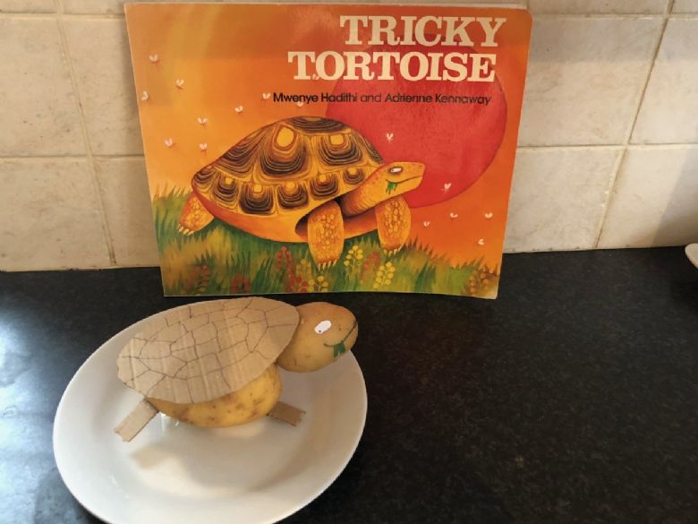 Tricky Tortoise